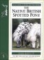 Native British Spotted Pony